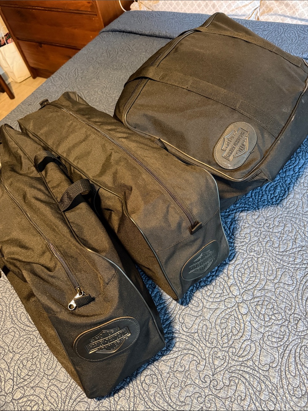 Saddle Bags and Rack bag.
